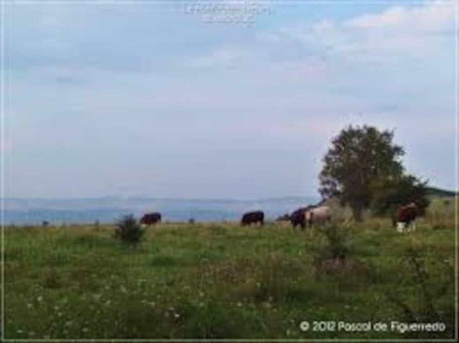 La Ferme Des Pierrettes Villa Menneville Exterior foto